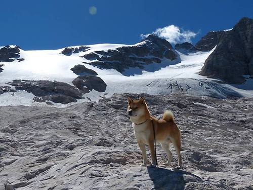 英超争冠之夜，那个在尘埃中站起的名字叫武切维奇