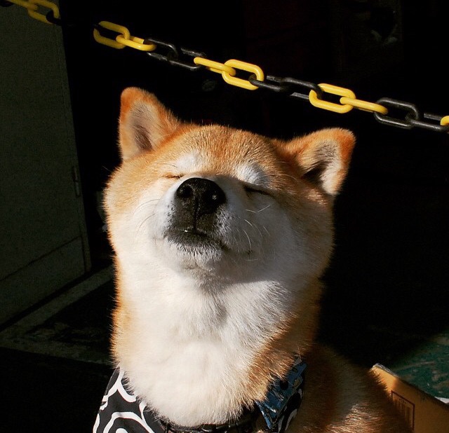 马刺上演惊天逆转！末节风暴摧毁上海，克莱一锤定音主宰沉浮