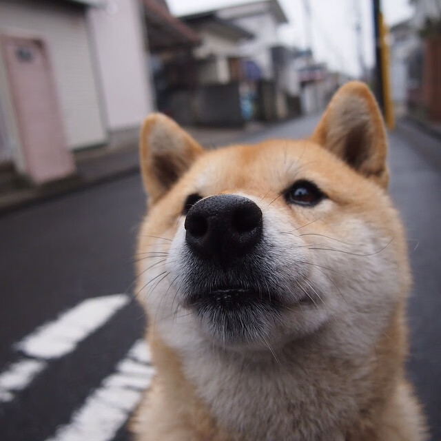 冠军基因的暗涌，当安联的终场哨遇见甲骨文的空心网