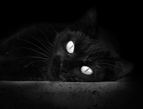 破解篮球密码，拉梅洛与鹈鹕队的唯一性胜利公式