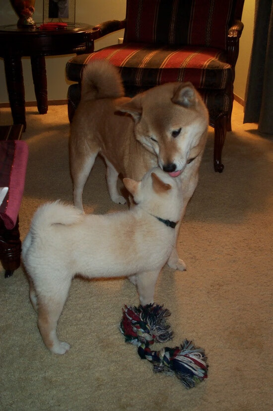 当掘金在虚拟赛道晋级，杜兰特于F1新赛季揭幕战接管比赛的跨界狂想